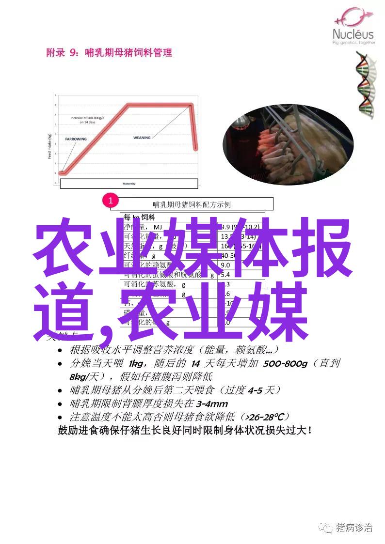 码垛机系统高效自动化物料堆叠解决方案