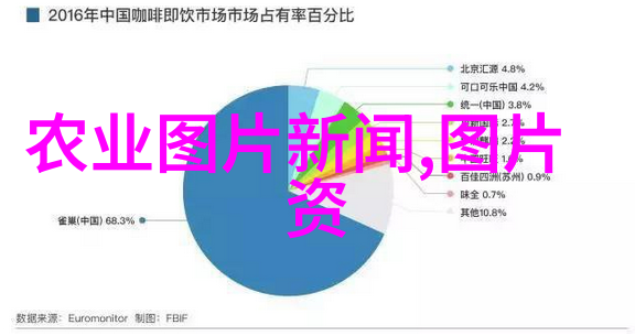 蜂巢里的糖分秘密5脾蜂过冬需多少白糖