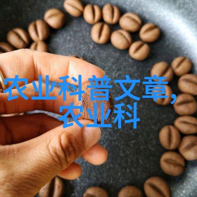 数据风云新时代的就业航向探索