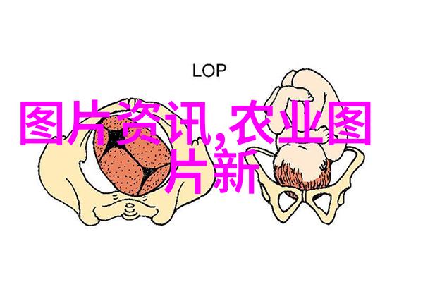 蜜蜂专用工具大全解锁甜蜜的花园管理