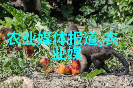 优化圈养环境提升肉牛养殖效率与肉质的圈养肉牛养殖技术新趋势