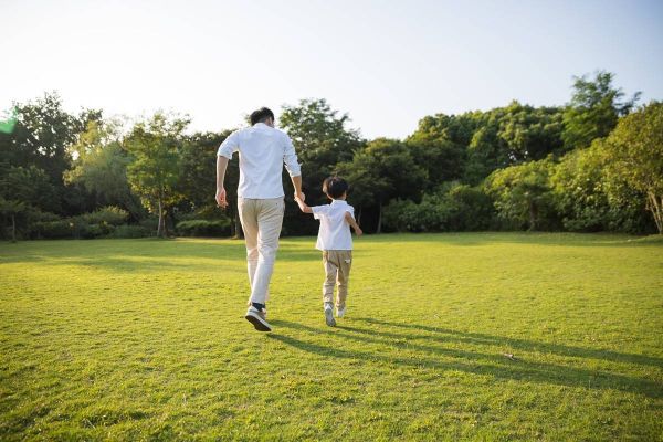 水果种子图片集锦丰富多彩的水果和种子的图像展示