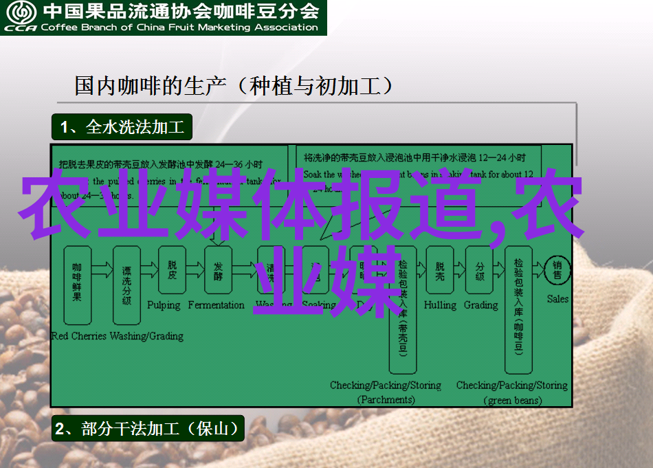 疾风知劲草强悍的自然抗逆物种