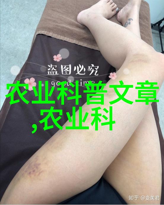 蜂蜜喂养指南如何正确使用喂蜂器提升蜂群健康