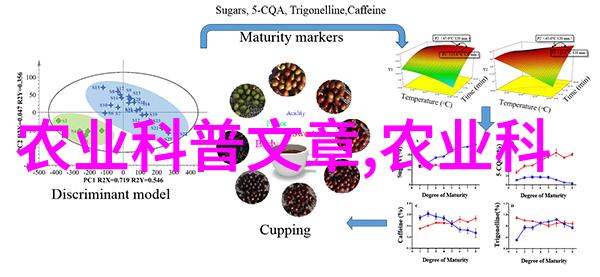 在处理初级挑战时我应该关注哪些关键因素以确保健康且活跃的小型甜水社区