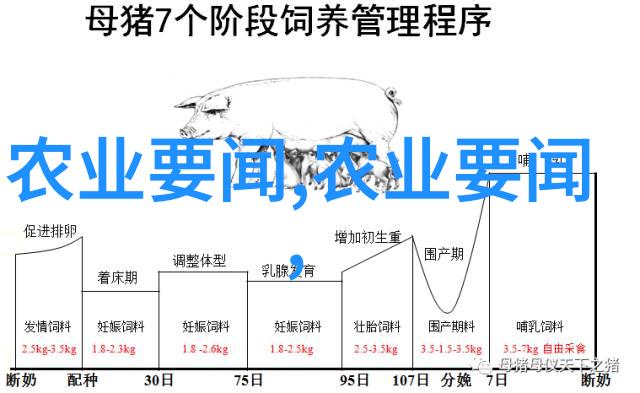 高效种植金钱之树的选择