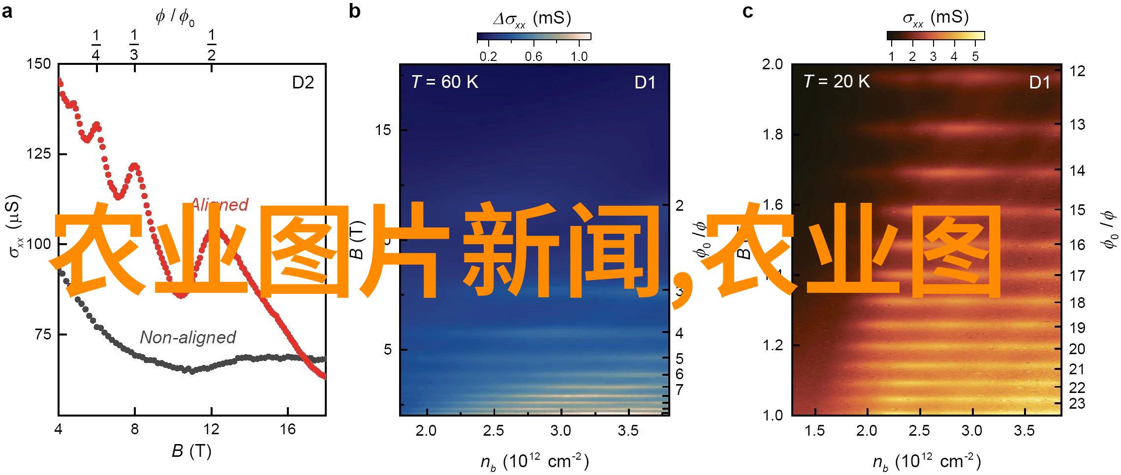 特种养殖之谜揭秘那些神秘生物的养护秘诀