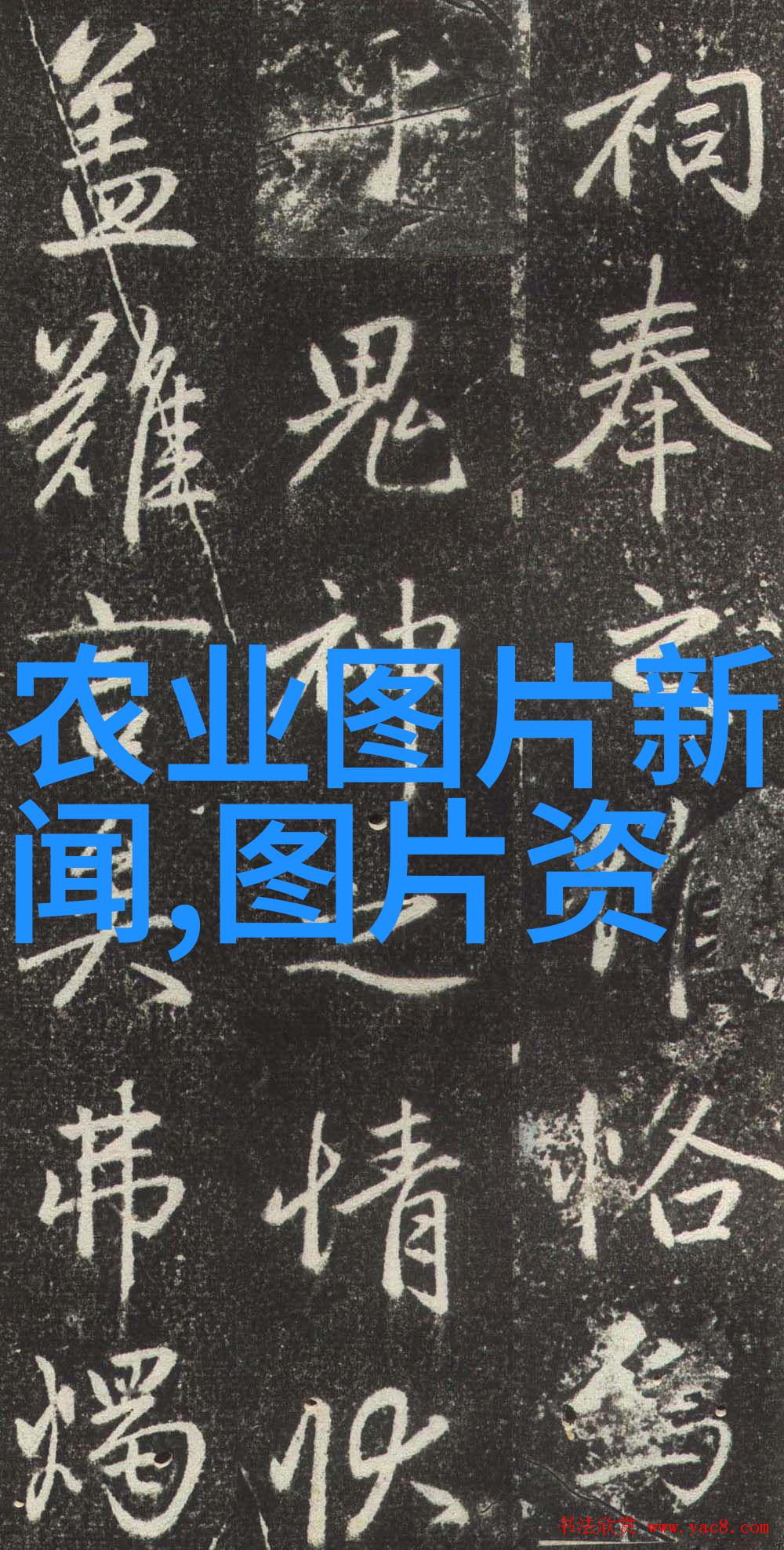 技术交流新鲜农技知识在养殖户微信群的分享