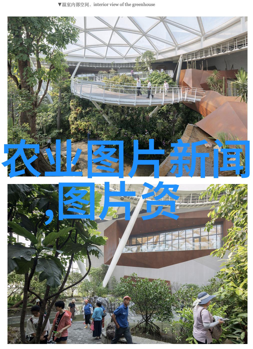 水域之梦娃娃鱼养殖的艺术与科学