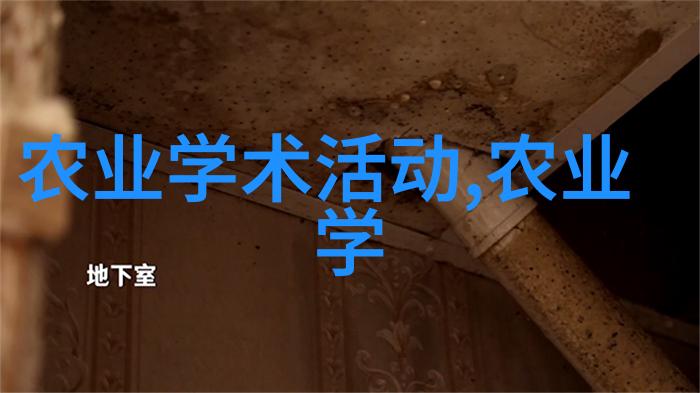 社会大棚种菜技术大全峰高竹荪变成麻竹产业新财富