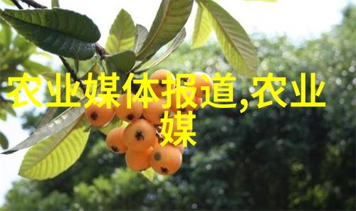 东北大学的成立时间是什么