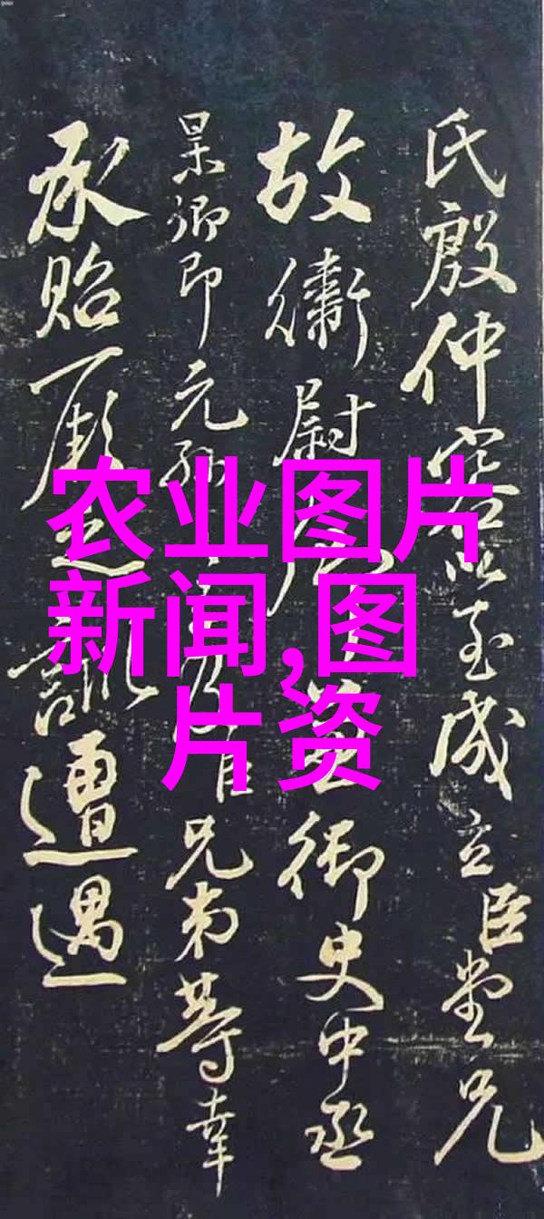 农业机械化促进法理论与实践的融合