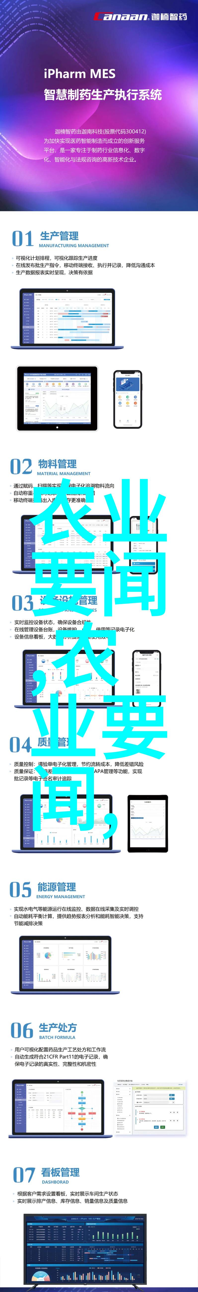 蜜蜂养殖入门知识从基因到蜜汁的智慧探索