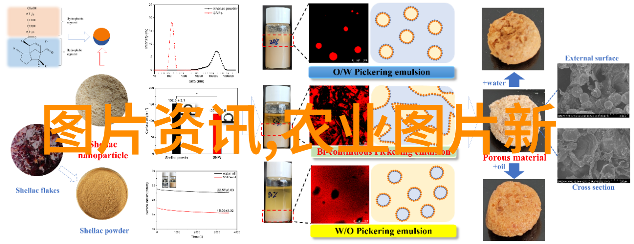 农业科技-精准养殖波尔山羊的成功育种技巧视频解析