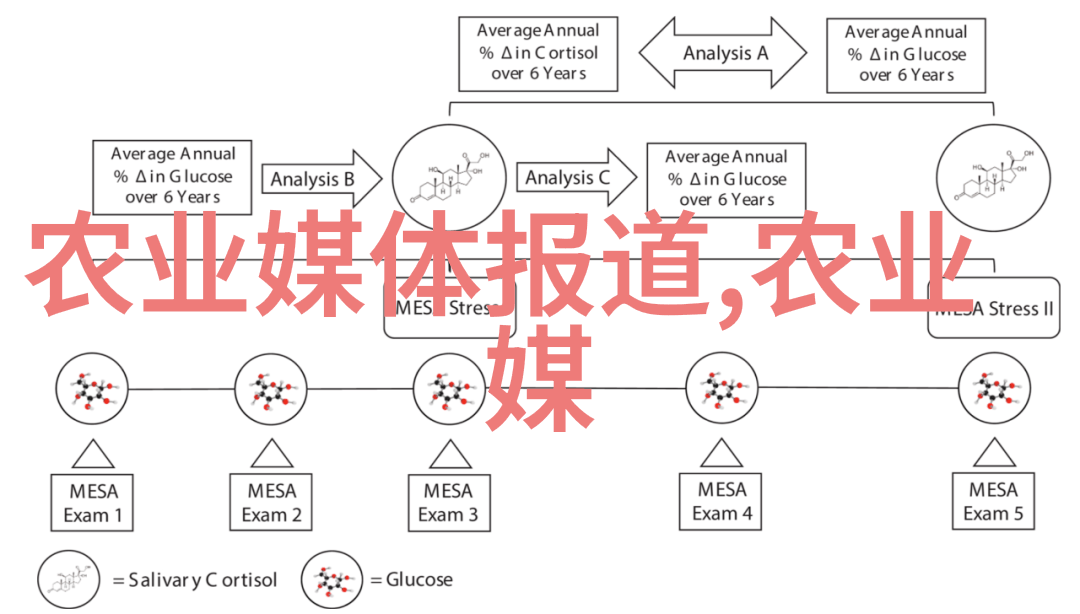 茶香解密揭秘冻顶乌龙的秘密世界