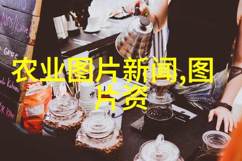 如何鉴别不同种类的黄粉虫以便进行收购