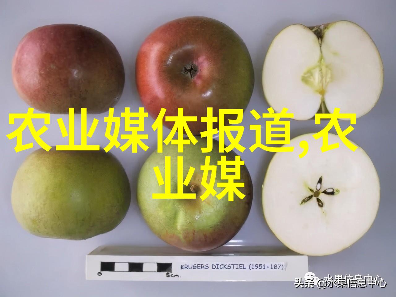 铸就精密模具的创造与奇迹