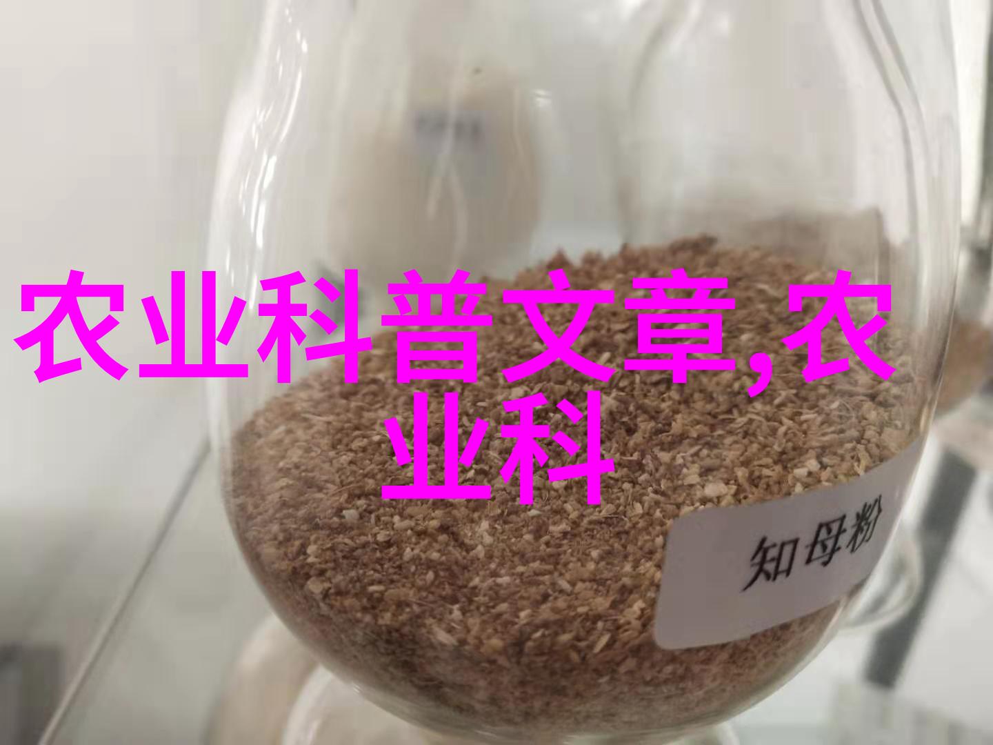 养殖技巧-选择理想的绵羊品种揭秘最适合您饲养的优质羊群