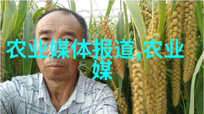 无需大院子只要这个巧妙设计的36平方英尺蜜蜂栖息地就足够了