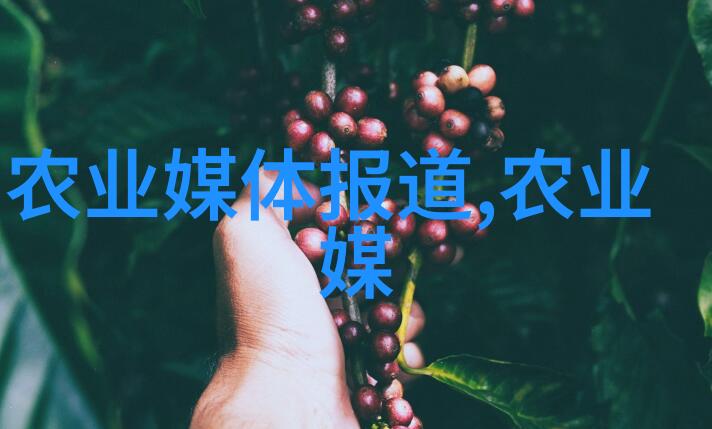 菌类养生活力源自微小世界的妙用