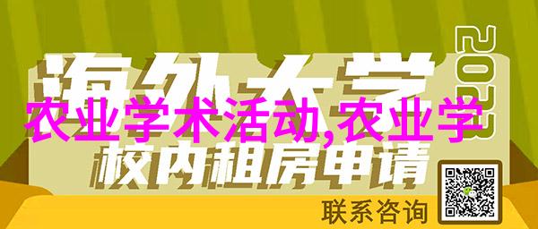 云泥青灯探寻古代智者心灵之光