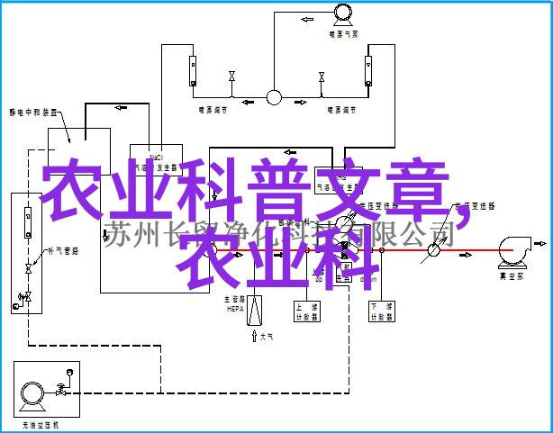 壁虎养殖技术精髓解析创造理想的生态环境