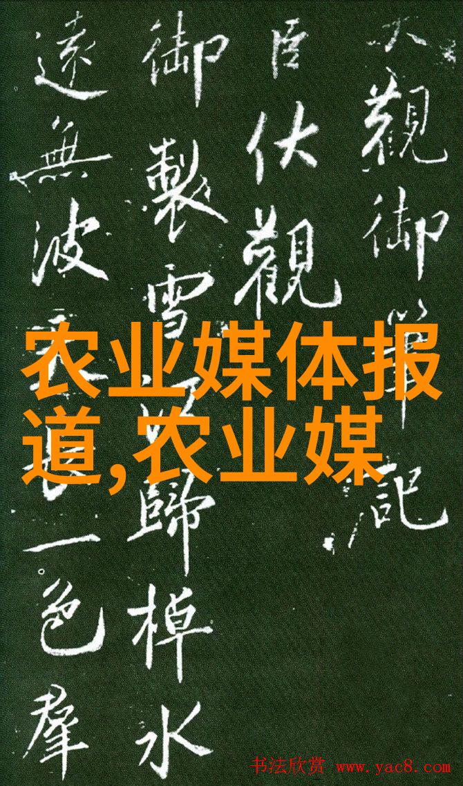 我国当前税收政策的调整与优化深化改革促进经济稳健增长