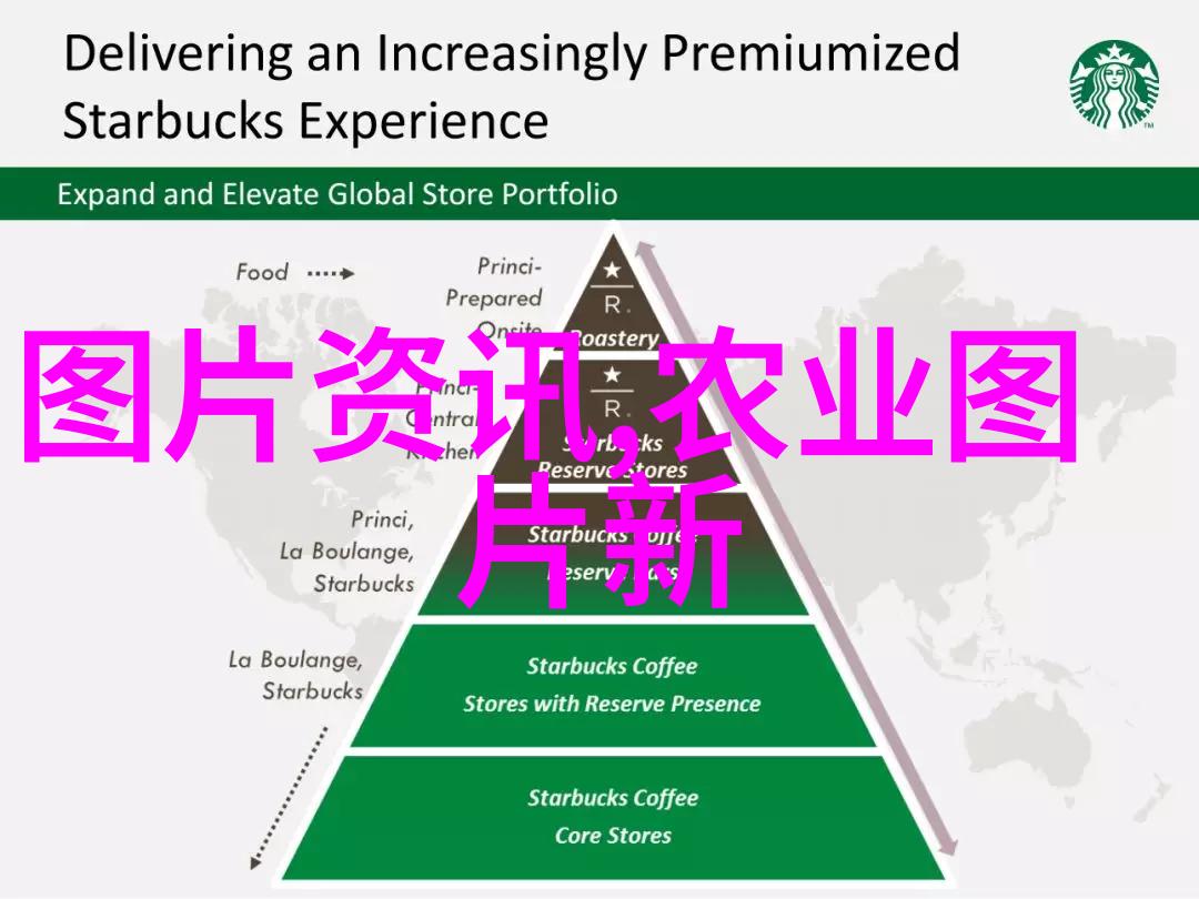 6颗牙的羊算不算老羊-山野中的六颗牙解读牧场上的老龄标志