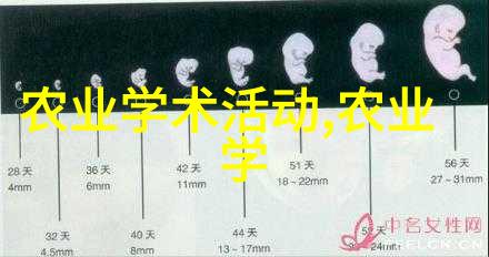 旅游业复苏热潮随着疫情放宽国内外游客涌入预计激增