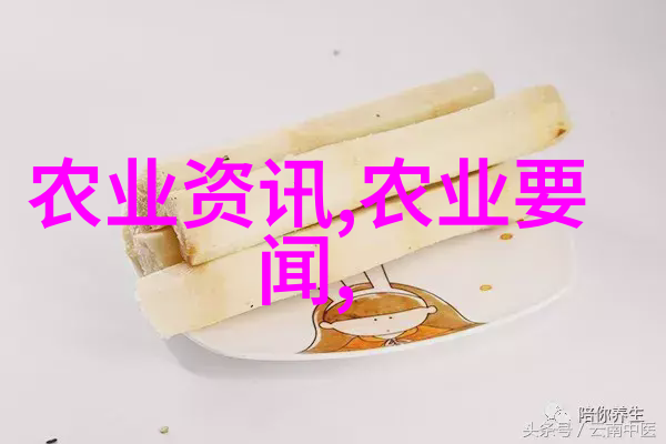 夏天养蜜蜂的技巧和方法-炎炎夏日守护蜂群高效养殖技巧与安全管理