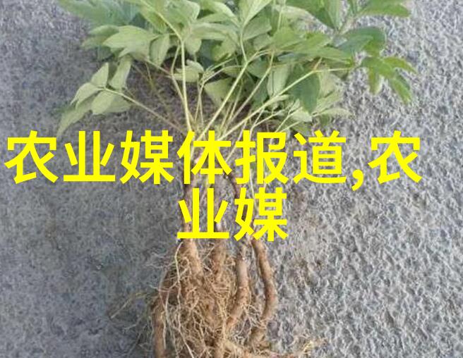 蟹爪兰的养殖指南种植技巧与护理小窍门