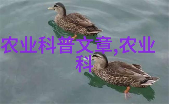 养殖肉狗成本与利润分析养殖经济效益评估