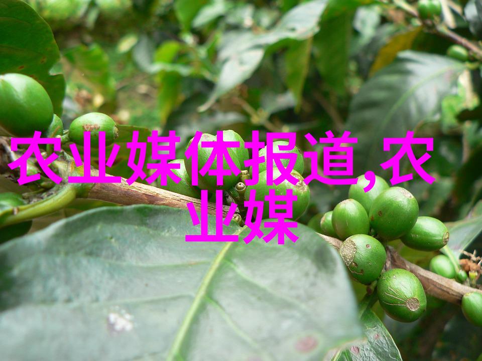 从野生植物到精心培育茶树栽培技术发展史述评