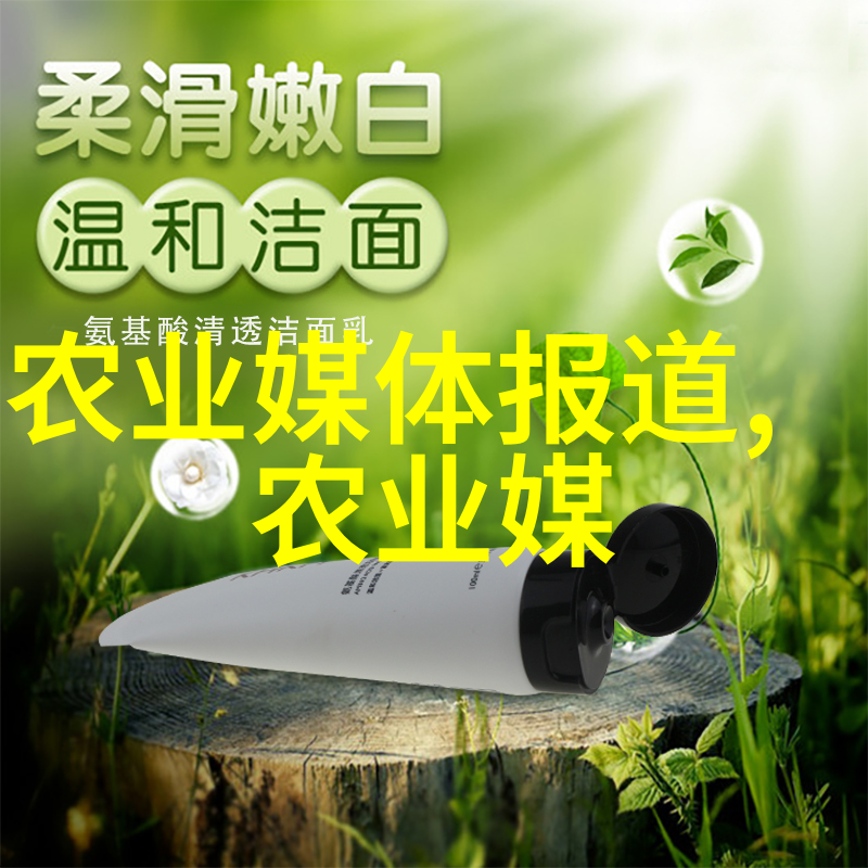 蜂箱小技巧新手必学的捉取蜂王方法