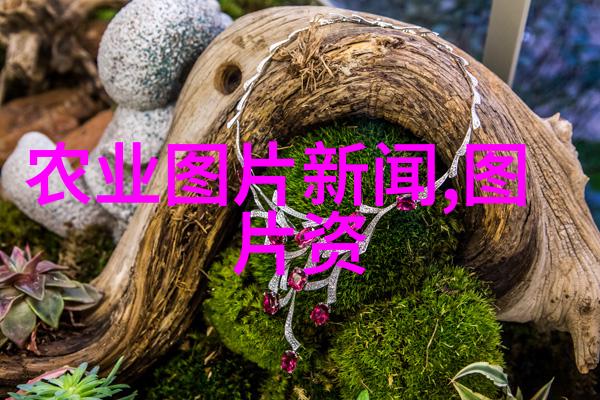 无害性农药的推广对抗生素使用量是否能有效降低动物疾病风险