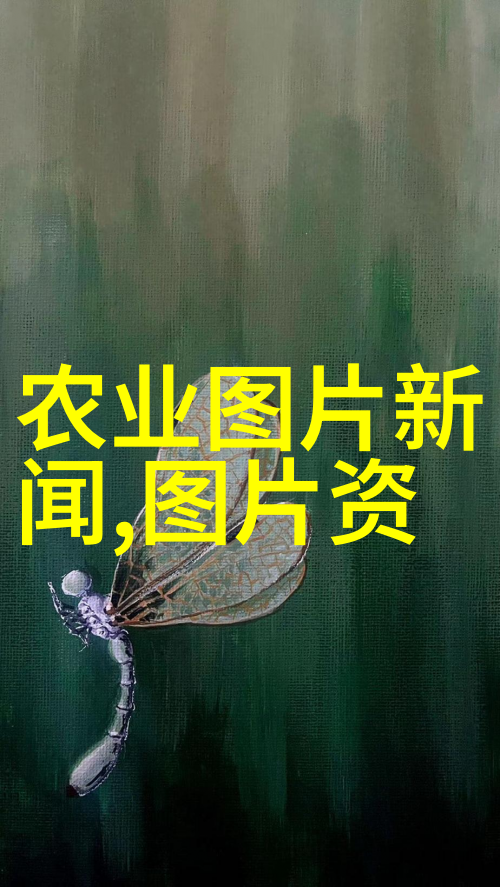 蜂群管理与繁殖策略