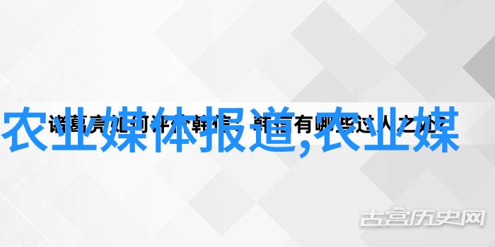 室内绿意盎然大盆栽植物的魅力与艺术