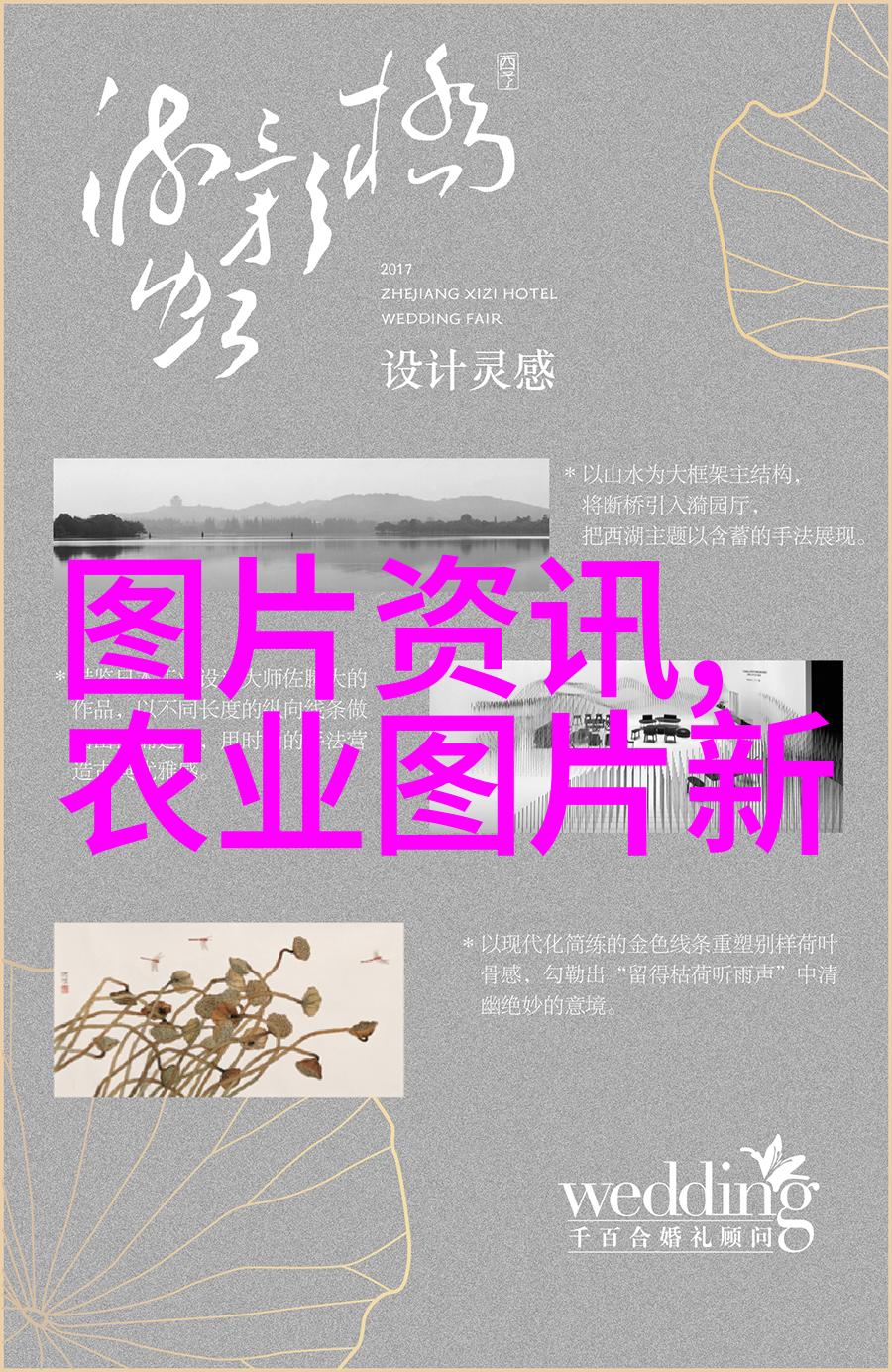 沉淀与沸腾茶叶的反差