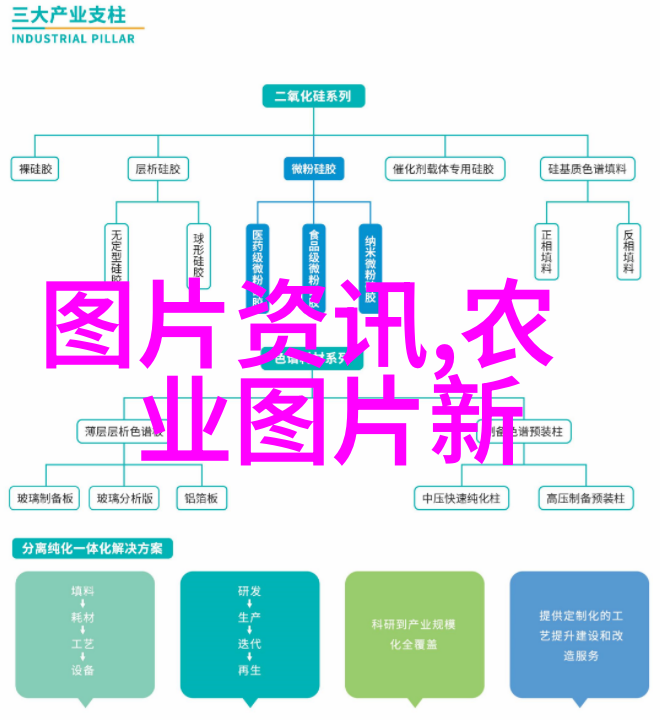 百草图谱解密中药名的艺术与科学