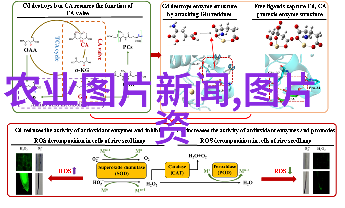 原神角色黄化网站视频下载全解析