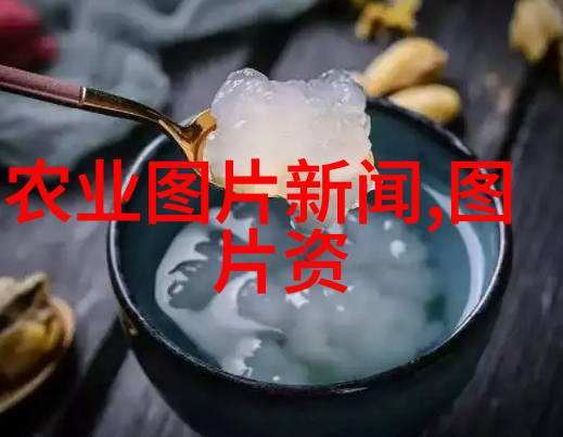 桑黄种植大棚技巧豆芽生长秘诀