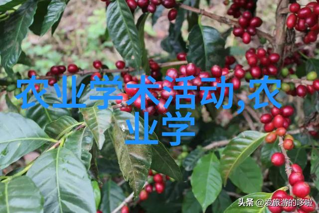 品茗人生探秘茶道的艺术与哲学