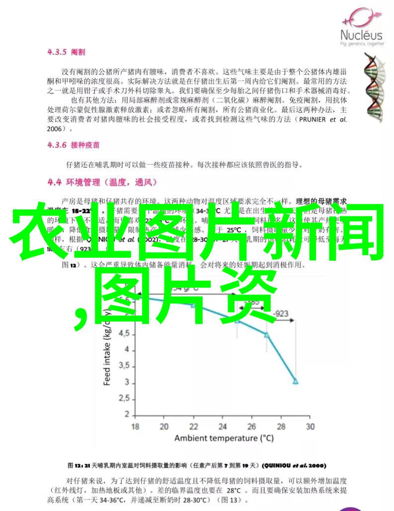 稻田泥鳅养殖技巧揭秘水生小龙的金钱路