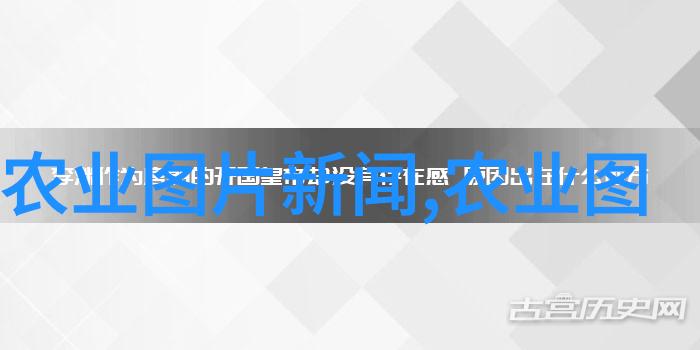 农产品价格网丰收季节的数字化助手