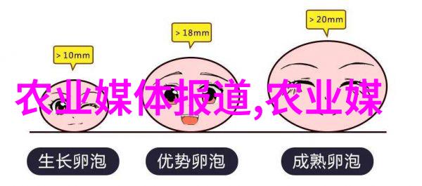 民法典2021全文解读探索新时代物品所有权的博览会体验三门峡食用菌产业的高科技生产线与精细栽培基地