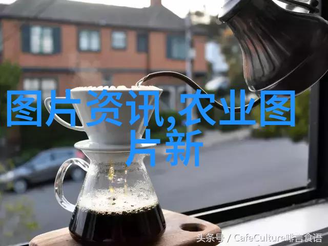 花盆种菜需要多少时间才能收获