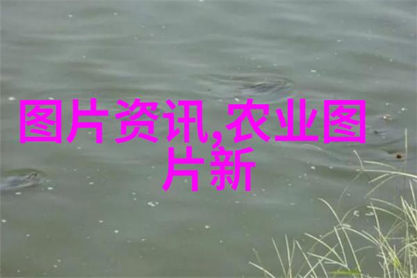 阳台上的甜蜜适合种植的室内水果秘籍