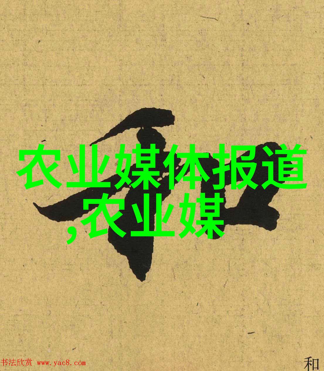 飞哥养蜂技术-智慧与蜜飞哥的创新蜂箱设计与管理技巧