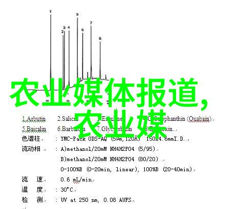 绿茵蔬菜园种植技巧的精髓