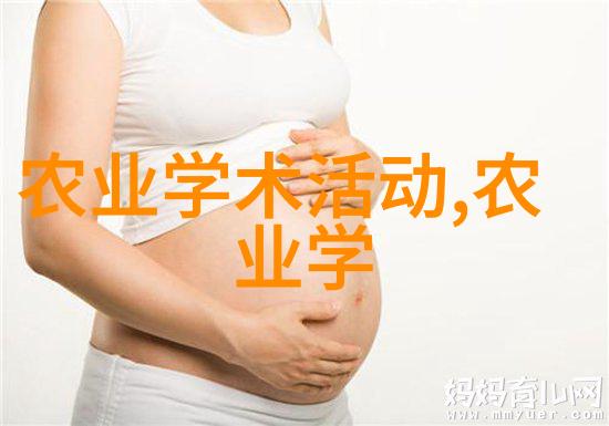 聚焦带种子的水果图片种子之美滋味双全